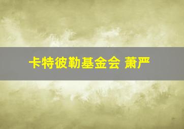 卡特彼勒基金会 萧严